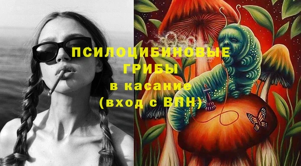 МДПВ Арсеньев