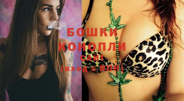 МДПВ Арсеньев